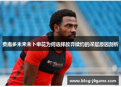 费南多未来未卜申花为何选择放弃续约的深层原因剖析