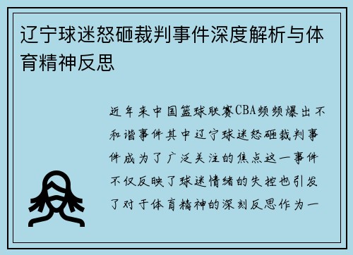 辽宁球迷怒砸裁判事件深度解析与体育精神反思