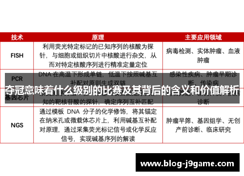 夺冠意味着什么级别的比赛及其背后的含义和价值解析
