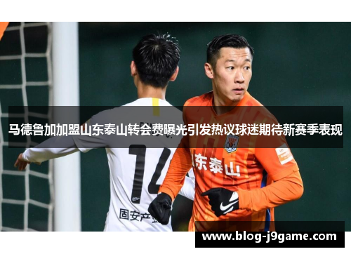 马德鲁加加盟山东泰山转会费曝光引发热议球迷期待新赛季表现