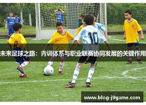 未来足球之路：青训体系与职业联赛协同发展的关键作用