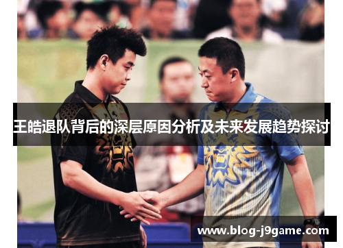 王皓退队背后的深层原因分析及未来发展趋势探讨